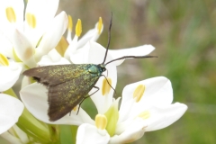 P1010351 crop