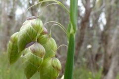 P1010397 crop